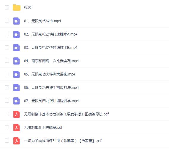 陈鹤皋格斗《 一切为了实战而练》+训练视频课程