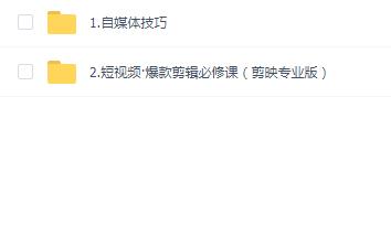 谢大狮爆款剪辑必修课