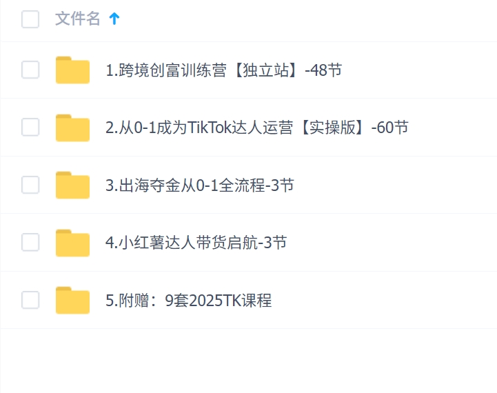 交个朋友-出海电商跨境创富训练营【独立站】2025课程合集